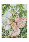 Bindweed Fairy Softcover Ultra Defter