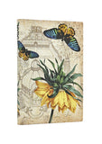 Golden Fritillaria Softcover Midi Defter