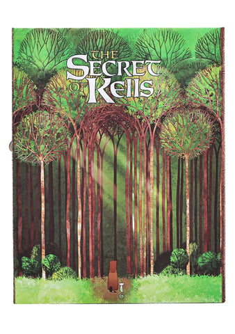 Secret of Kells Manyetik Kapak Ultra Çizgili Defter