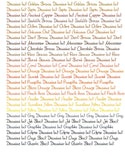 Diamine Dolmakalem Mürekkebi Orange 80 ml