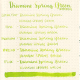 Diamine Dolmakalem Mürekkebi Spring Green 80 ml